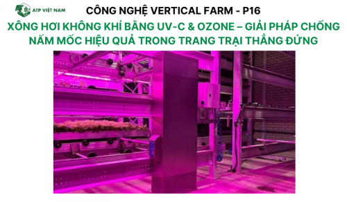 Xông Hơi Không Khí Bằng UV-C & Ozone – Giải Pháp Chống Nấm Mốc Hiệu Quả Trong Trang…