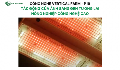 Tác Động của Ánh Sáng Đến Tương Lai Nông Nghiệp Công Nghệ Cao