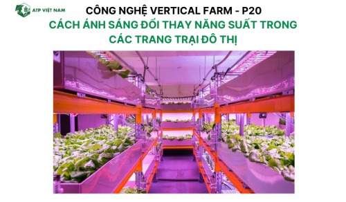 Cách ánh sáng đổi thay năng suất trong các trang trại đô thị