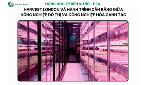 Harvest London và hành trình cân bằng giữa nông nghiệp đô thị và công nghiệp hóa…