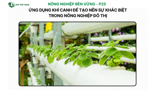 Ứng Dụng Khí Canh Để Tạo Nên Sự Khác Biệt Trong Nông Nghiệp Đô Thị