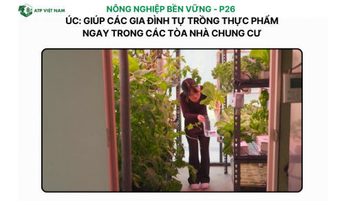 Úc: Giúp Các Gia Đình Tự Trồng Thực Phẩm Ngay Trong Các Tòa Nhà Chung Cư