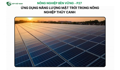 Ứng dụng năng lượng mặt trời trong nông nghiệp thủy canh