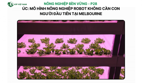 Úc: Mô hình nông nghiệp robot không cần con người đầu tiên tại Melbourne