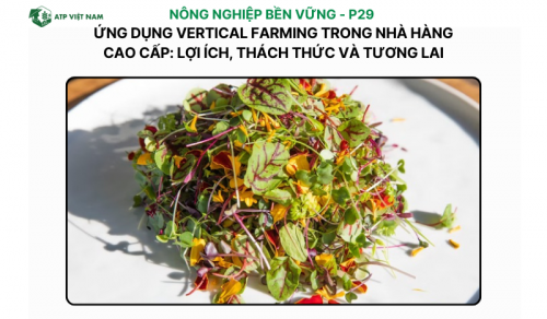 Ứng Dụng Vertical Farming Trong Nhà Hàng Cao Cấp: Lợi Ích, Thách Thức Và Tương Lai
