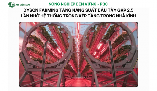 Dyson Farming tăng năng suất dâu tây gấp 2,5 lần nhờ hệ thống trồng xếp tầng trong…