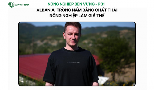 Albania: Trồng Nấm Bằng Chất Thải Nông Nghiệp Làm Giá Thể