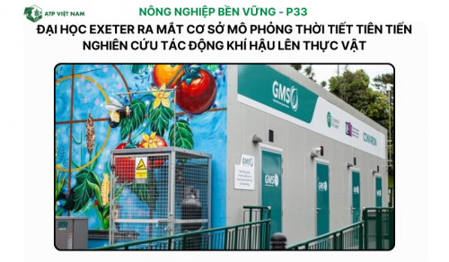 Đại học Exeter ra mắt cơ sở mô phỏng thời tiết tiên tiến nghiên cứu tác động…