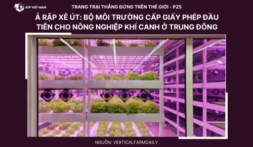 Ả Rập Xê Út: Bộ Môi trường cấp giấy phép đầu tiên cho nông nghiệp khí canh…