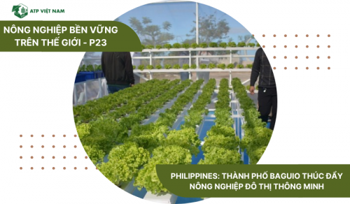 Philippines: Thành phố Baguio thúc đẩy nông nghiệp đô thị thông minh