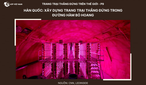 Hàn Quốc: Trang trại thẳng đứng được xây dựng trong đường hầm