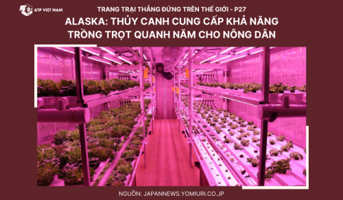 Alaska: Thủy canh cung cấp khả năng trồng trọt quanh năm cho nông dân