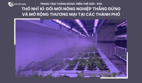 Ấn Độ: Cách mạng hóa Nông nghiệp với Công Nghệ Fogponics và Mô Hình Canh Tác Bền…