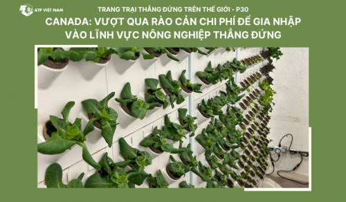 Canada: Vượt qua Rào cản Chi phí để Gia nhập vào Lĩnh vực Nông nghiệp Thẳng đứng