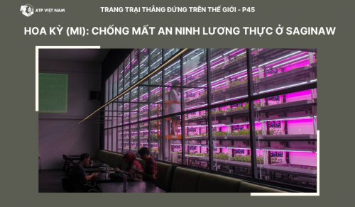 Hoa Kỳ (MI): Chống mất an ninh lương thực ở Saginaw