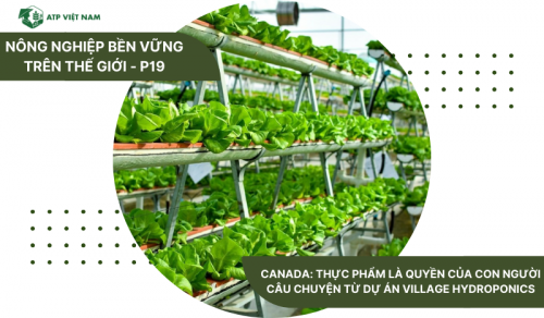 Canada: Thực phẩm là quyền của con người – Câu chuyện từ dự án Village Hydroponics