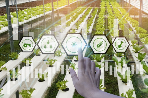 Ưu điểm và thách thức của mô hình nông nghiệp trong môi trường được kiểm soát…