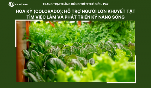 Hoa Kỳ (Colorado): Hỗ trợ người lớn khuyết tật tìm việc làm và phát triển kỹ…