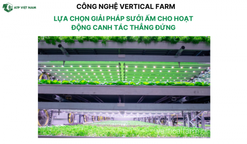 Lựa chọn giải pháp sưởi ấm cho hoạt động canh tác thẳng đứng