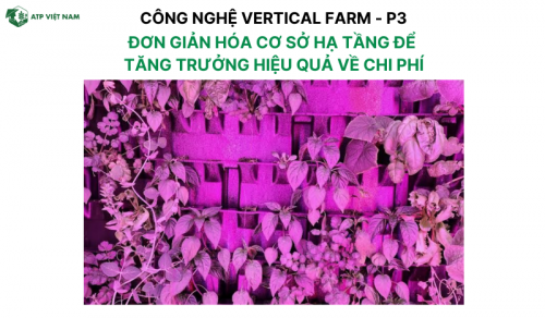 Đơn giản hóa cơ sở hạ tầng để  tăng trưởng hiệu quả về chi phí