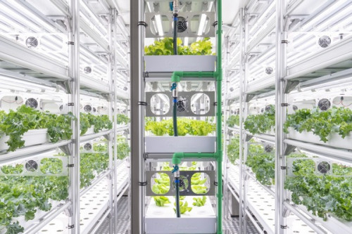 Trang trại trong container là gì