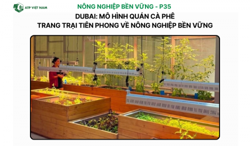 Dubai: Mô hình quán cà phê – trang trại tiên phong về nông nghiệp bền vững