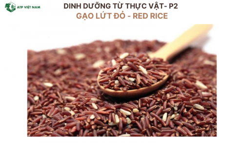 Gạo lứt đỏ - Red Rice