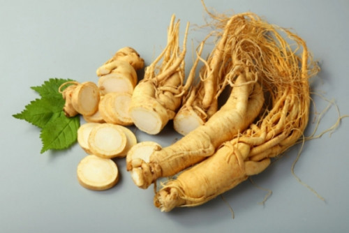 Biological activity of ginseng and its application to human health