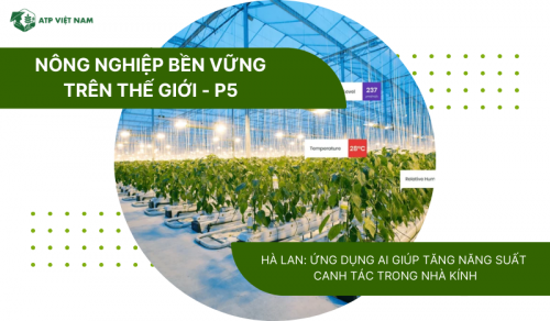 Hà Lan: Ứng dụng AI giúp tăng năng suất  canh tác trong nhà kính