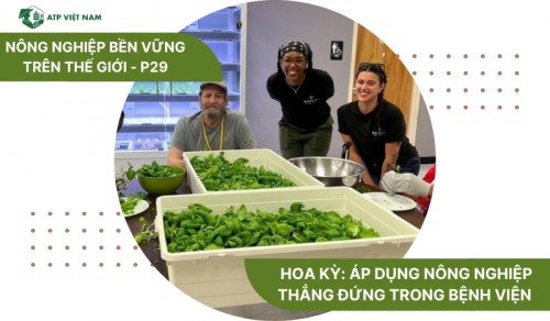 Hoa Kỳ: Áp dụng nông nghiệp thẳng đứng trong bệnh viện – Rau xanh tươi tại chỗ…