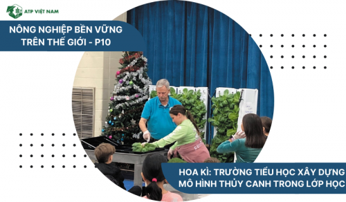 Hoa Kì: Trường tiểu học xây dựng mô hình thủy canh trong lớp học