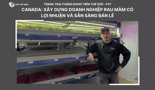 Canada: Xây Dựng Doanh Nghiệp Rau Mầm Có Lợi Nhuận và Sẵn Sàng Bán Lẻ