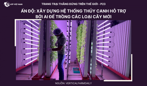 Ấn Độ: xây dựng hệ thống thủy canh hỗ trợ bởi AI để trồng các loại cây…