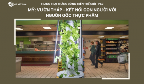 Mỹ: Vườn Tháp – Kết Nối Con Người Với Nguồn Gốc Thực Phẩm