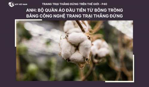Anh: Ra mắt bộ quần áo đầu tiên từ bông trồng trong nước bằng công nghệ canh…