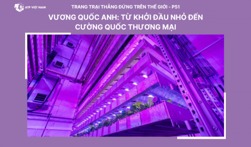 Vương quốc Anh: Từ khởi đầu nhỏ đến cường quốc thương mại