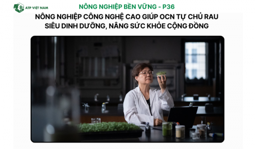 Nông nghiệp công nghệ cao giúp OCN tự chủ rau siêu dinh dưỡng, nâng sức khỏe cộng…