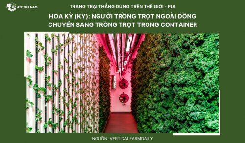 Hoa Kỳ (KY): Người trồng trọt ngoài đồng chuyển sang trồng trọt trong container