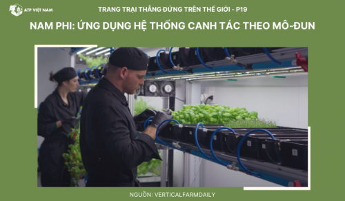 Nam Phi: Ứng dụng hệ thống canh tác theo mô-đun