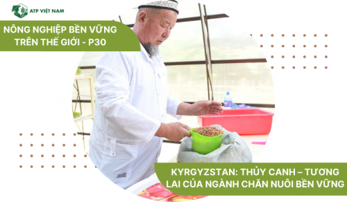 Kyrgyzstan: Thủy canh – Tương lai của ngành chăn nuôi bền vững