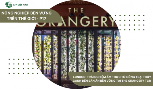 London: Trải Nghiệm Ẩm Thực Từ Nông Trại Thủy Canh Đến Bàn Ăn Bền Vững tại…