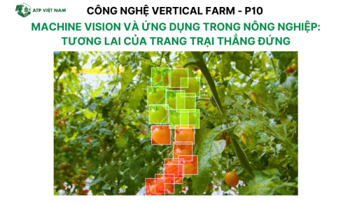 Machine Vision và Ứng Dụng trong Nông Nghiệp: Tương Lai của Trang Trại Thẳng Đứng