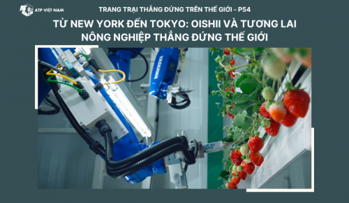 Từ New York đến Tokyo: Oishii và tương lai nông nghiệp thẳng đứng thế giới