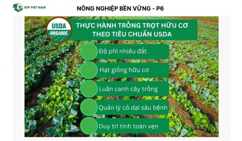 Thực hành trồng trọt hữu cơ theo tiêu chuẩn USDA