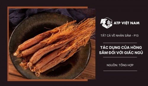 Tác dụng của Hồng sâm Hàn quốc đối với giấc ngủ