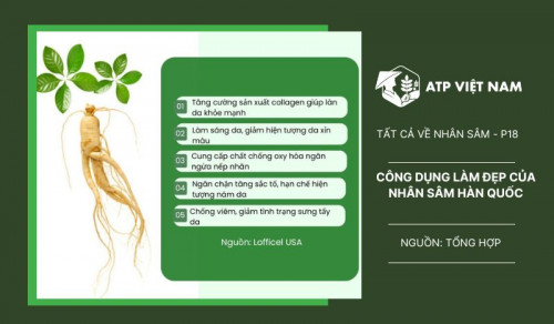 Công dụng làm đẹp của Nhân sâm Hàn Quốc