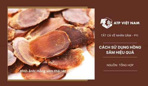 Cách sử dụng Hồng sâm hiệu quả
