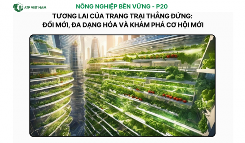 Tương Lai Của Trang Trại Thẳng Đứng: Đổi Mới, Đa Dạng Hóa Và Khám Phá Cơ Hội…