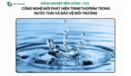 Công nghệ mới phát hiện Trimethoprim trong nước thải và bảo vệ môi trường