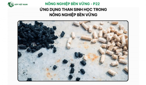Ứng Dụng Than Sinh Học Trong Nông Nghiệp Bền Vững
